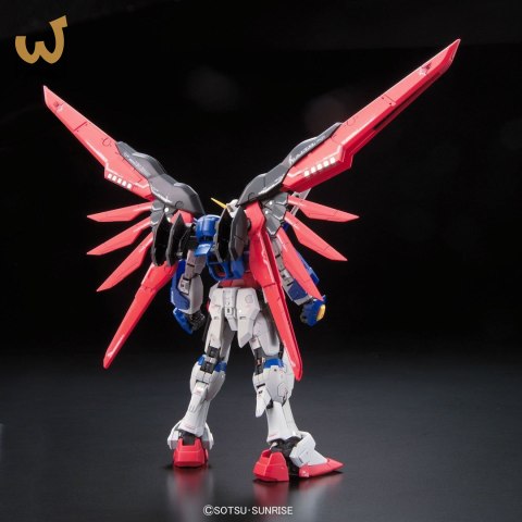 RG 1/144 DESTINY GUNDAM BL RG 1/144 DESTINY GUNDAM BL