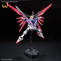 RG 1/144 DESTINY GUNDAM BL