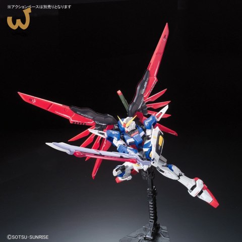 RG 1/144 DESTINY GUNDAM BL RG 1/144 DESTINY GUNDAM BL