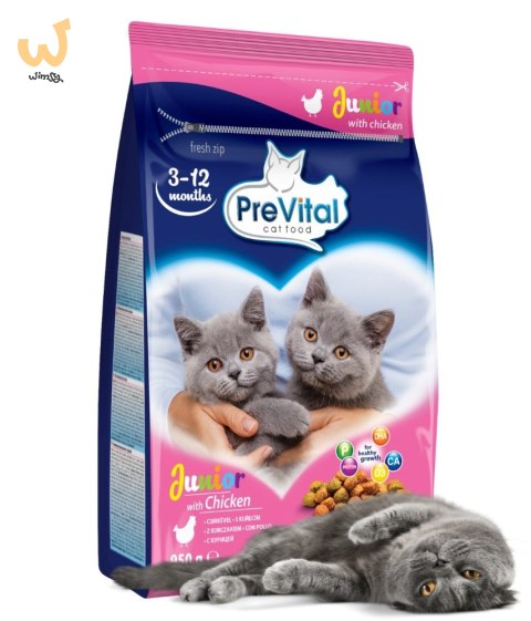 PREVITAL kurczak karma sucha karma kocięta 0,95kg PREVITAL kurczak karma sucha karma kocięta 0,95kg
