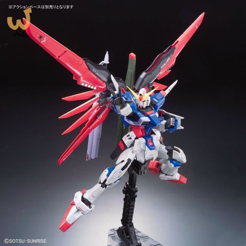 RG 1/144 DESTINY GUNDAM BL RG 1/144 DESTINY GUNDAM BL