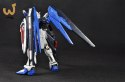 RG 1/144 FREEDOM GUNDAM