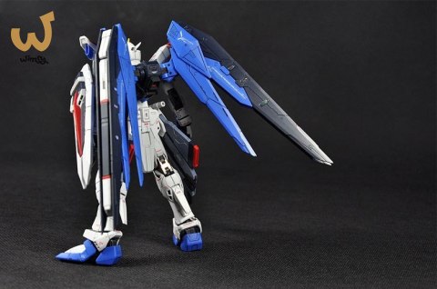 RG 1/144 FREEDOM GUNDAM RG 1/144 FREEDOM GUNDAM