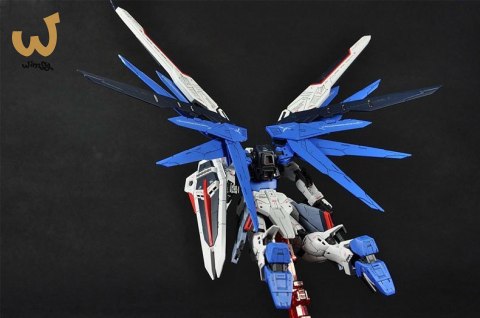 RG 1/144 FREEDOM GUNDAM RG 1/144 FREEDOM GUNDAM