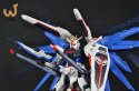 RG 1/144 FREEDOM GUNDAM