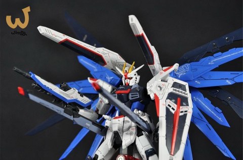 RG 1/144 FREEDOM GUNDAM RG 1/144 FREEDOM GUNDAM