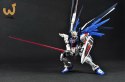 RG 1/144 FREEDOM GUNDAM