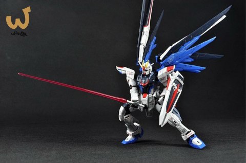 RG 1/144 FREEDOM GUNDAM RG 1/144 FREEDOM GUNDAM