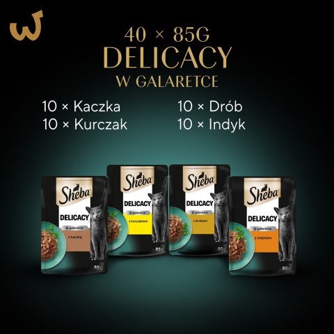 SHEBA Delicacy drobiowe smaki w galarecie- Drób - Mokra karma dla kota - 40x85g SHEBA Delicacy drobiowe smaki w galarecie- Drób - Mokra karma dla kota - 40x85g
