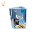 Brit Premium Family Plate dla kotów saszetki w sosie mix smaków 12x85g