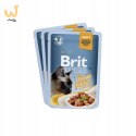 Brit Premium Family Plate dla kotów saszetki w sosie mix smaków 12x85g