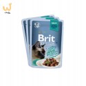 Brit Premium Family Plate dla kotów saszetki w sosie mix smaków 12x85g
