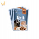 Brit Premium Family Plate dla kotów saszetki w sosie mix smaków 12x85g