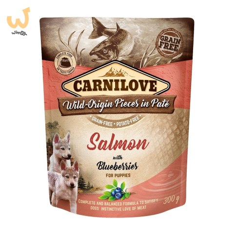 CARNILOVE DOG POUCH SALMON&BLUEBERRIES PUPPIES 300G CARNILOVE DOG POUCH SALMON&BLUEBERRIES PUPPIES 300G