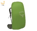 Plecak trekkingowy OSPREY Kestrel 48 khaki S/M