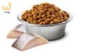 FARMINA N&D Spirulina Herring Adult Medium&Maxi - sucha karma dla psa - 7 kg