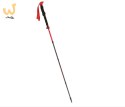 Kije Viking SPIDER FS black/red UNI
