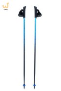 Kije Viking PRO-TRAINER blue 110