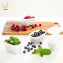 Rotho Freeze zestaw pojemników do mrożenia 3 x 1l