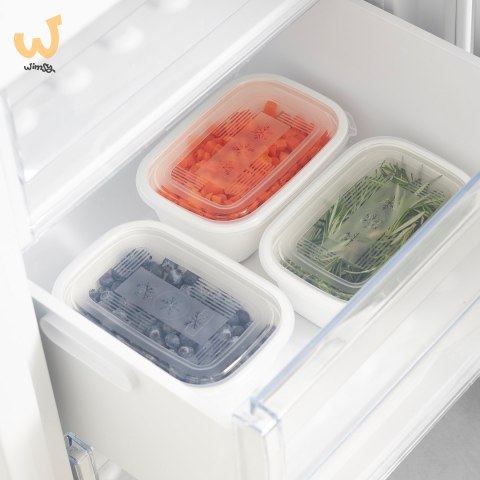 Rotho Freeze zestaw pojemników do mrożenia 3 x 1l Rotho Freeze zestaw pojemników do mrożenia 3 x 1l