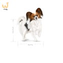 Royal Canin SHN Xsmall Adult 8+ 1,5kg