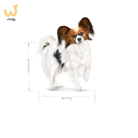 Royal Canin SHN Xsmall Adult 8+ 1,5kg Royal Canin SHN Xsmall Adult 8+ 1,5kg