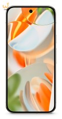 Smartfon Google Pixel 9 Pro 5G DS 16/128GB Porcelain