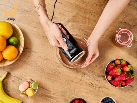 LAFE MIKSER RĘCZNY MIXPRO LAFE MIKSER RĘCZNY MIXPRO
