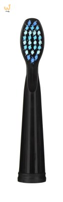 FAIRYWILL SZCZOTECZKA SONICZNA 507 PLUS CZARNA