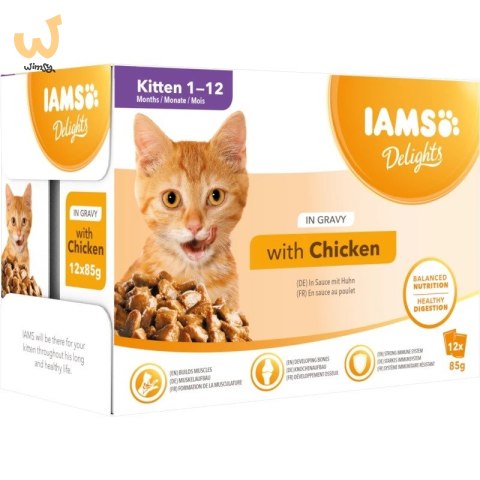 IAMS Delights bogata kurczaka w sosie 85g kocięta IAMS Delights bogata kurczaka w sosie 85g kocięta