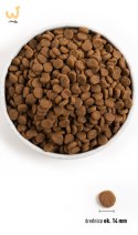 ORIJEN Senior Dog 11.4kg