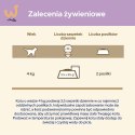 Purina Cat Chow Sensitive z łososiem i cukinią w sosie - mokra karma dla kota - 85 g