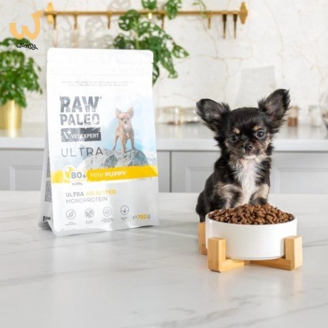 VetExpert Raw Paleo Ultra Indyk Mini Puppy 2kg (WYPRZEDAŻ) VetExpert Raw Paleo Ultra Indyk Mini Puppy 2kg (WYPRZEDAŻ)