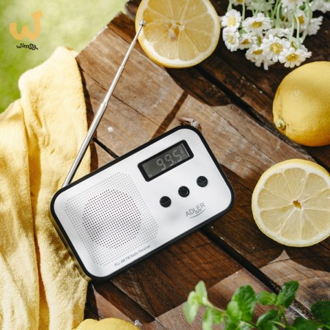 Radio ADLER AD 1907 Radio ADLER AD 1907
