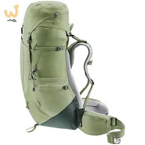 Plecak turystyczny Deuter Aircontact Lite 45 + 10 SL grove-ivy Plecak turystyczny Deuter Aircontact Lite 45 + 10 SL grove-ivy