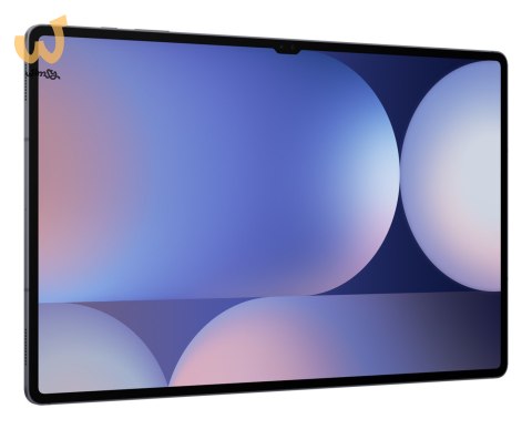 Samsung Galaxy Tab S10 Ultra (X920) 12/256GB Moonstone Gray Samsung Galaxy Tab S10 Ultra (X920) 12/256GB Moonstone Gray