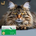 JM SANTE MULTIWAY DUOCAPS SIERŚĆ 60 kaps