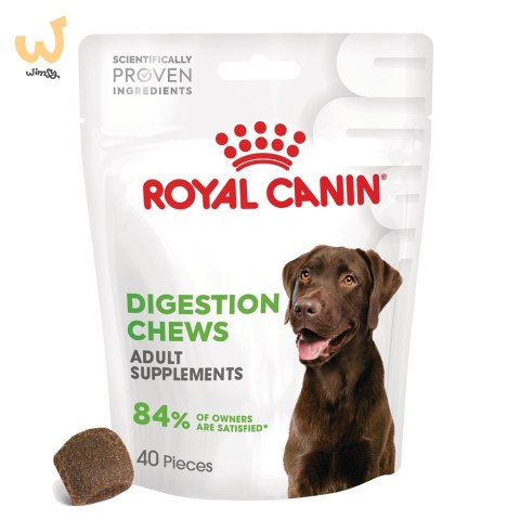 ROYAL CANIN Digestion Adult Dog Supplements 160g ROYAL CANIN Digestion Adult Dog Supplements 160g