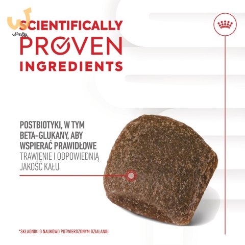 ROYAL CANIN Digestion Adult Dog Supplements 160g ROYAL CANIN Digestion Adult Dog Supplements 160g