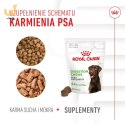 ROYAL CANIN Digestion Adult Dog Supplements 160g