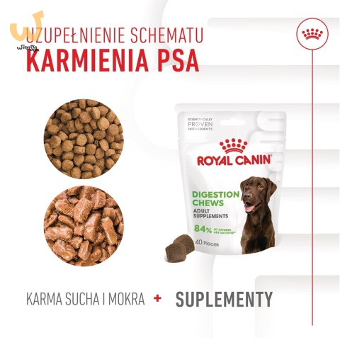 ROYAL CANIN Digestion Adult Dog Supplements 160g ROYAL CANIN Digestion Adult Dog Supplements 160g