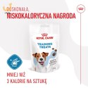 ROYAL CANIN Training Treat Dog 110g