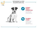 ROYAL CANIN Training Treat Dog 110g