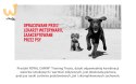 ROYAL CANIN Training Treat Dog 110g