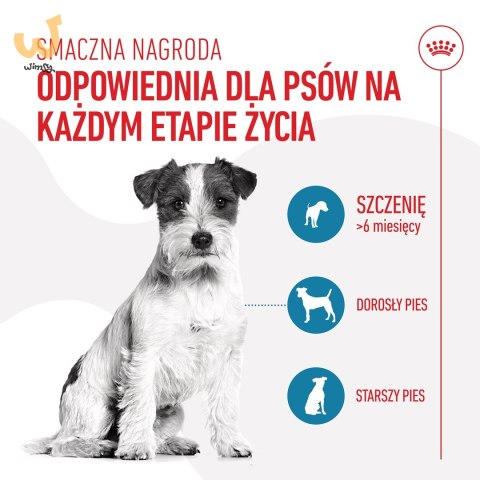 ROYAL CANIN Training Treat Dog 110g ROYAL CANIN Training Treat Dog 110g