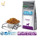 FARMINA Vet Life Oxalate Canine - sucha karma dla psa - 2kg