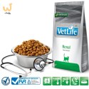 FARMINA Vet Life Renal Feline - sucha karma dla kota - 400g