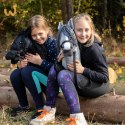 Czarny konik hobby horse duży A3 kantar kary HH