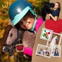 Kasztanowaty konik hobby horse duży A3 kantar HH