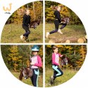Kasztanowaty konik hobby horse duży A3 kantar HH